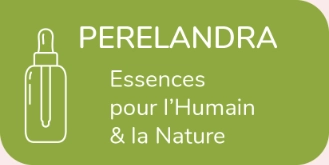 Perelandr